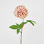 Dried Look Peony Stem 61cm Blush