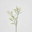 Protea Stem 2 Heads White (Set of 12)