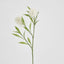 Protea Stem 2 Heads White (Set of 12)