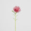 Pincushion Stem 63cm Red - Pack of 12