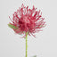 Pincushion Stem 63cm Red - Pack of 12