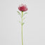 Pincushion Stem 63cm Red - Pack of 12