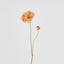 Poppy Stem 75cm Orange