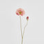 Poppy Stem 75cm Pink