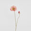 Poppy Stem 75cm Pink