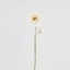 Poppy Stem 75cm White