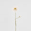 Poppy Stem 75cm White