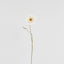 Poppy Stem 75cm White