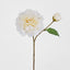 Peony Stem 61cm White - Pack of 16