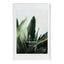 60x90cm Mat to 50x70cm Premium Paradise Wooden Photo Frame