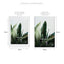 60x90cm Mat to 50x70cm Premium Paradise Wooden Photo Frame