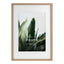 A2 Mat to A3 Premium Paradise Wooden Photo Frame