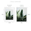 A2 Mat to A3 Premium Paradise Wooden Photo Frame