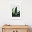 A2 Mat to A3 Premium Paradise Wooden Photo Frame