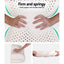 Giselle Bedding Natural Latex Pillow 2-Zone Twin Pack