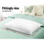 Giselle Bedding 4 Pack Bed Pillow Family Hotel 48X73CM