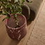 Ziggy Planter Red Marble Look (50cm)