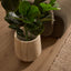 Ziggy Planter Travertine Look (37cm)