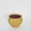 Petal Round Pot Mustard