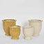 Petal Pot White Large