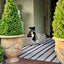 Anduze Planter Set of 2 Antique Finish