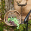 Bird Bath On Stand