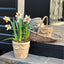 Willow Trug S/3