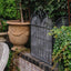 Fleur De Lys Firescreen Black