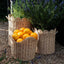 FESTONNE BASKETS S/2