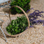 Provender Basket Set of 2