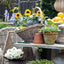 Provender Basket Set of 2