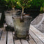 Hare Set of 3 Cast Iron Pot Feet