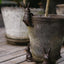 Benny Hare Cast Iron Pot Hugger