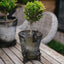 Benny Hare Cast Iron Pot Hugger