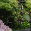 Ivy Foldable Garden Bench Black