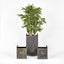 Estate Footed Iron Planters (Set of 3)