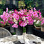 French Tin Centrepiece Large