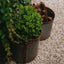 Set of 3 Bucket Planters Zinc