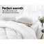 Giselle Bedding 800GSM Microfibre Bamboo Quilt Queen