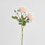 David Austin English Rose 55cm Pink