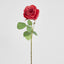 Cabbage Rose Real Touch 65cm Red - Pack of 12
