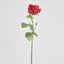 Cabbage Rose Real Touch 65cm Red - Pack of 12