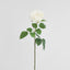 Cabbage Rose Real Touch 65cm White - Pack of 12
