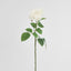 Cabbage Rose Real Touch 65cm White - Pack of 12