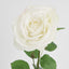 Cabbage Rose Real Touch 65cm White - Pack of 12