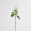 Cabbage Rose Real Touch 65cm White - Pack of 12