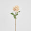Rose True Touch 50cm Blush