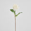Rose True Touch 50cm White
