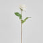 Rose True Touch 50cm White
