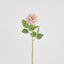 Dried Look English Rose Stem 50cm Blush - Pack of 12